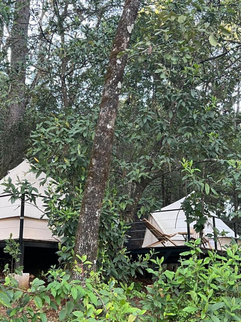 Hotel Oxu Solo Adultos Valle de Bravo Exteriör bild