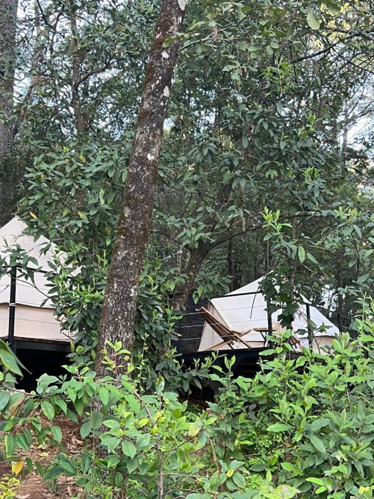 Hotel Oxu Solo Adultos Valle de Bravo Exteriör bild